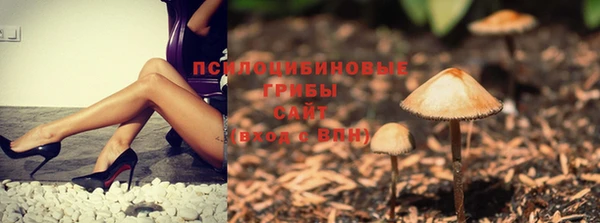прущий лед Волосово