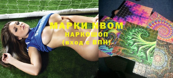 прущие грибы Волоколамск
