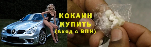 прущие грибы Волоколамск