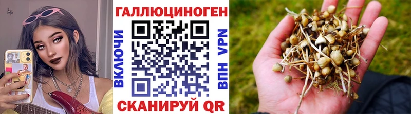 Псилоцибиновые грибы Magic Shrooms  Купить где  Кириллов 