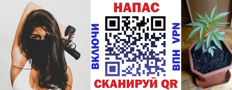 Шишки марихуана OG Kush Кириллов